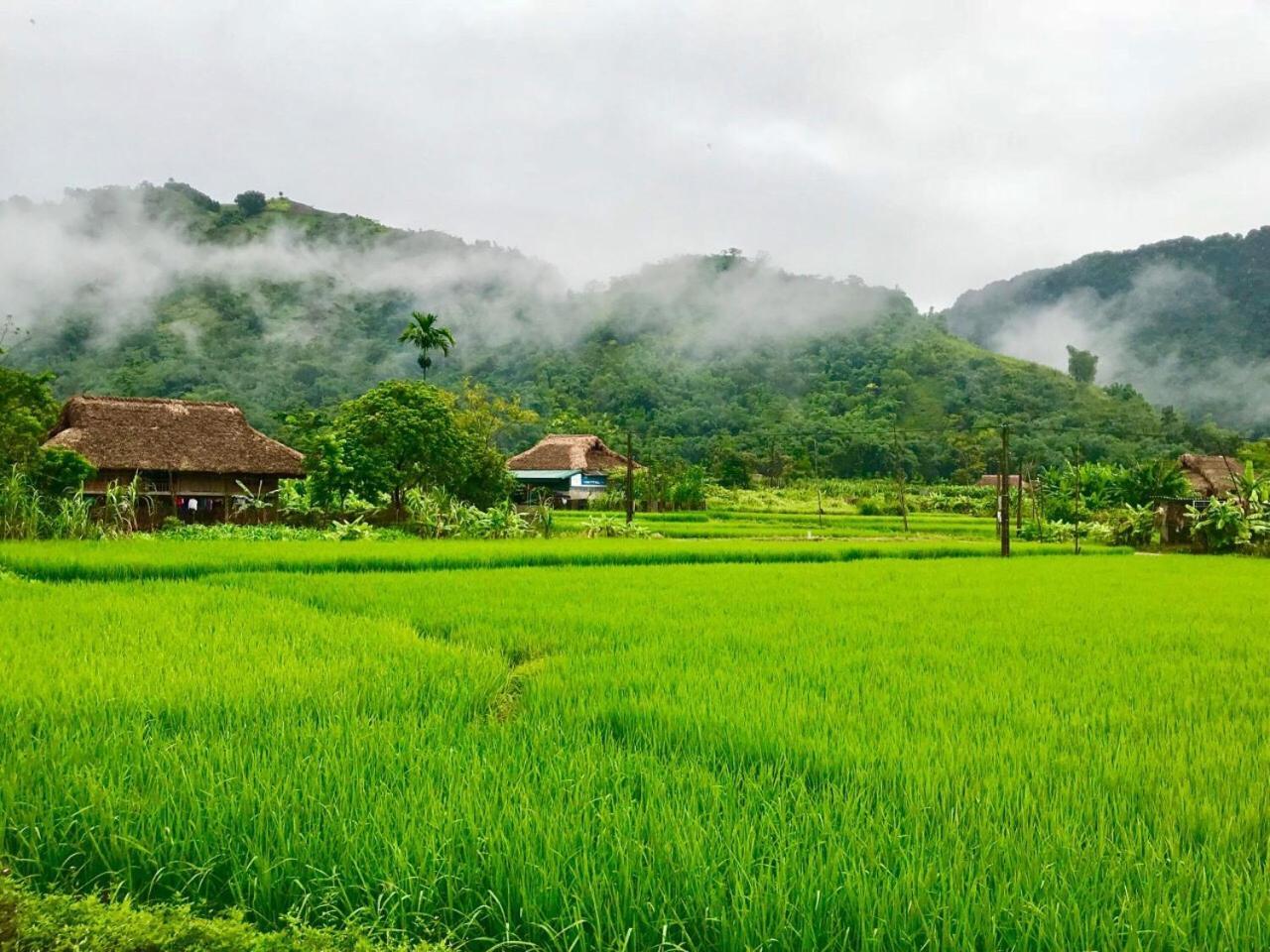 Xoi Farmstay - Eco Homestay Luc Yen Yen Bai Eksteriør billede