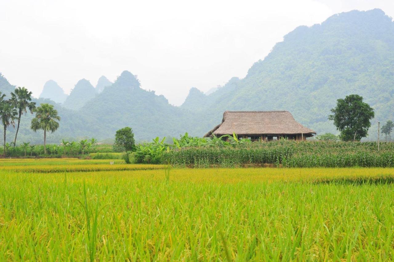 Xoi Farmstay - Eco Homestay Luc Yen Yen Bai Eksteriør billede