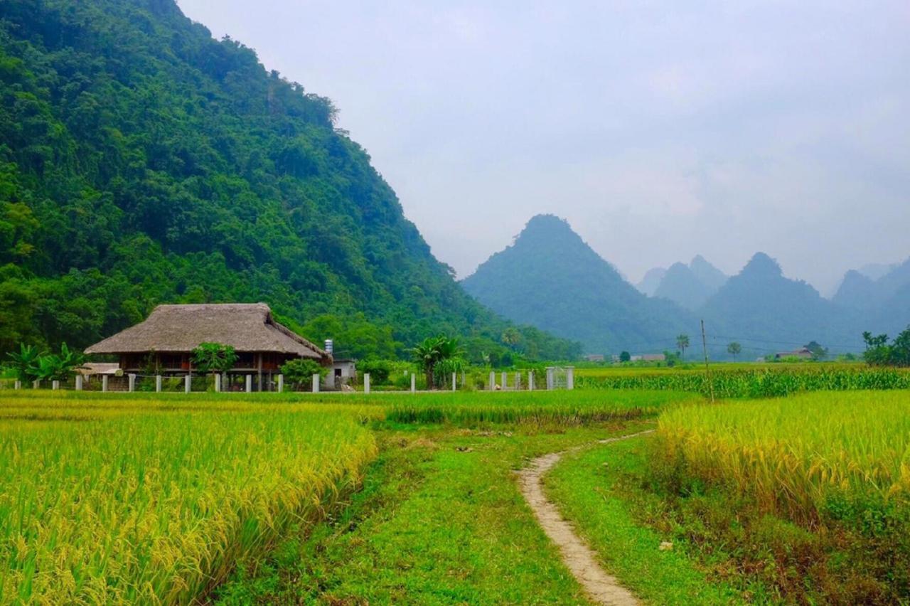 Xoi Farmstay - Eco Homestay Luc Yen Yen Bai Eksteriør billede