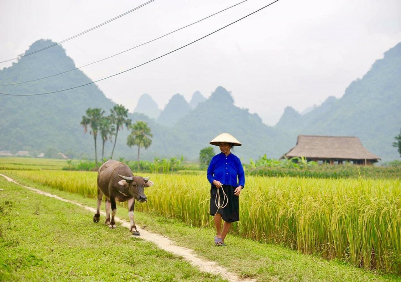 Xoi Farmstay - Eco Homestay Luc Yen Yen Bai Eksteriør billede