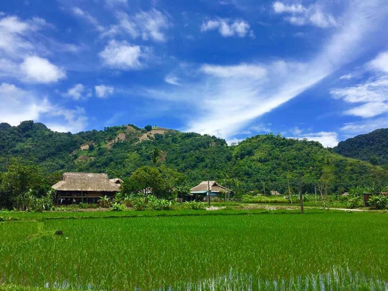 Xoi Farmstay - Eco Homestay Luc Yen Yen Bai Eksteriør billede