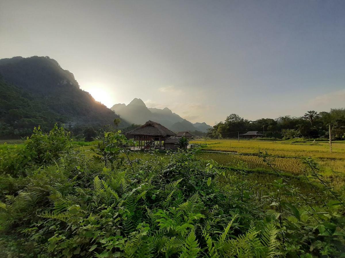 Xoi Farmstay - Eco Homestay Luc Yen Yen Bai Eksteriør billede